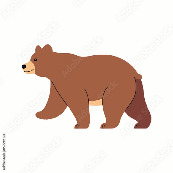 Fototapeta brown bear vector