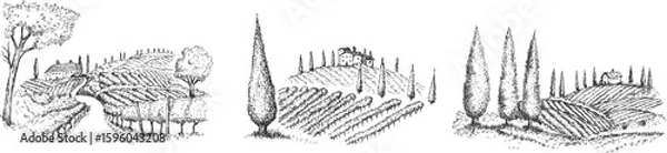 Obraz Vineyard landscape field with winery house or farm building in vintage engraved style. Hand drawn monochrome vector illustration.