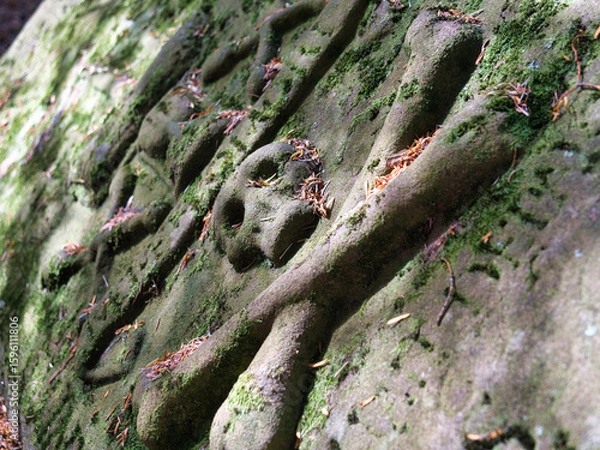 Obraz Tombe de pirate