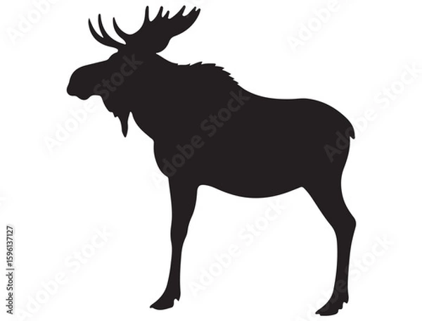 Obraz MOOSE SILHOUET