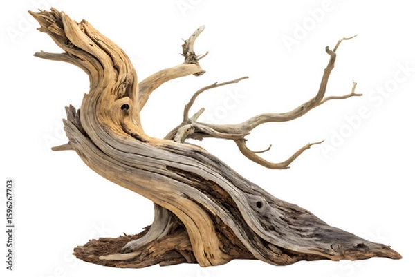 Fototapeta Dynamic driftwood piece isolated on AI generated by PNG