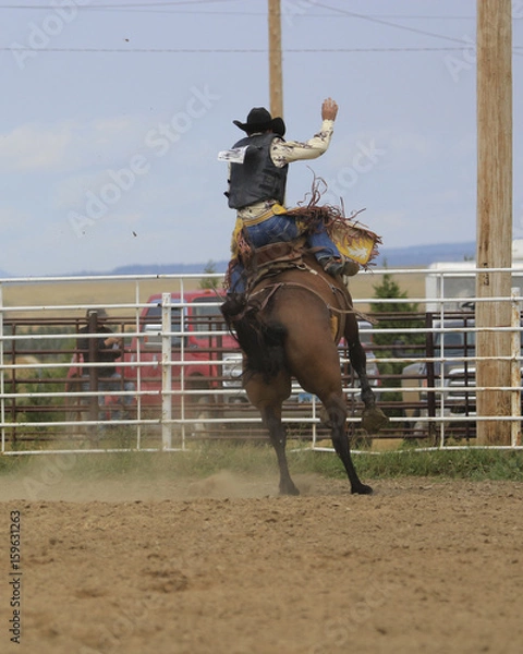 Obraz Saddle Bronc Riding