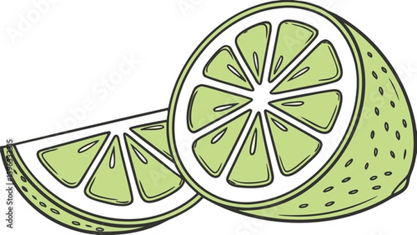 Obraz Vector lime slice with crisp green gradient segments and glossy overlay, blank background.

