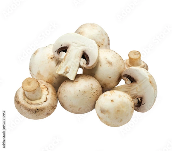 Obraz button mushroom isolated on white background