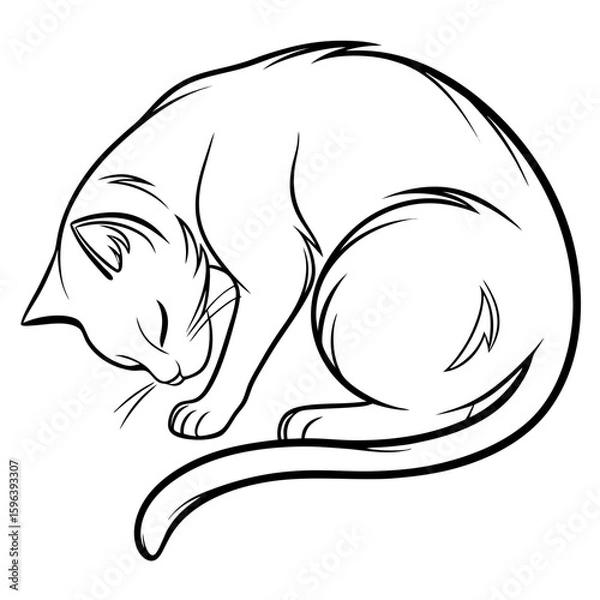 Obraz vector illustration of a cat