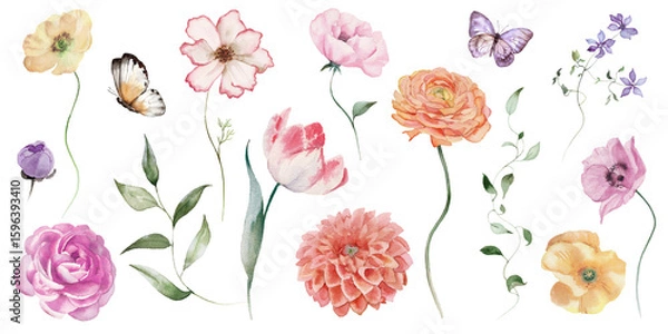 Fototapeta Watercolor floral elements set - bright peach color, white, pink, blue flowers, rose, peony, poppy, tulips, sweet pea, chamomile, ranunculus, buttercups. Green branches. Wedding invitation, clipart.