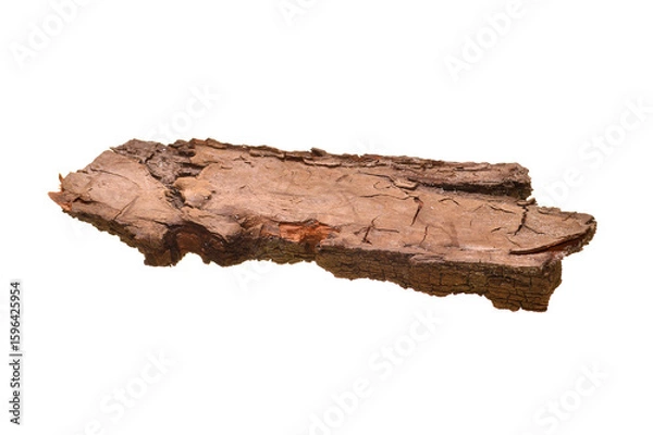 Obraz tree bark isolated on white background