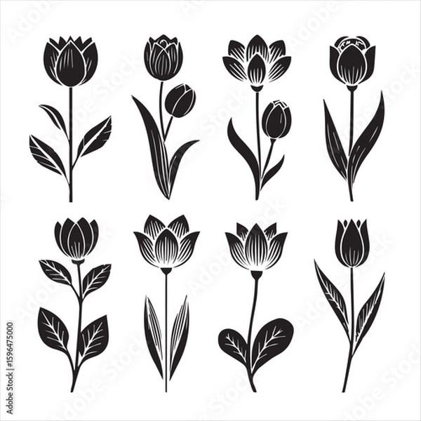 Fototapeta tulip flower silhouette vector minimalist black
