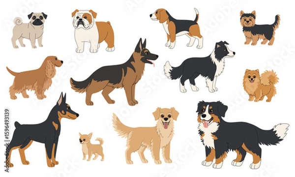 Fototapeta Cartoon dog breeds set. Collection of large, medium, and small dogs of different breeds. Shepherd, Doberman, Bulldog, Pug, Chihuahua and other dogs. Cute pets on white background.