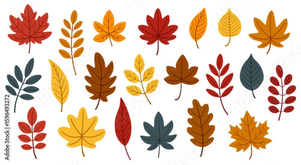 Fototapeta Cute cartoon set of autumn leaves. Multicolored flat leaves of maple, oak, birch and rowan in red, orange, yellow and brown. Hand-drawn botanical elements on white background.