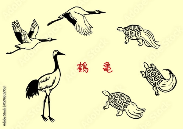 Obraz 筆で描いた鶴と亀　線画