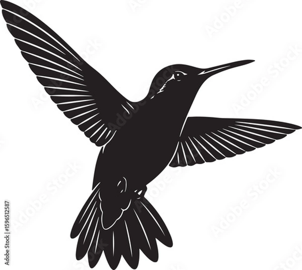 Obraz Black Hummingbird Silhouette in Flight with Extended Wings Vector Art.