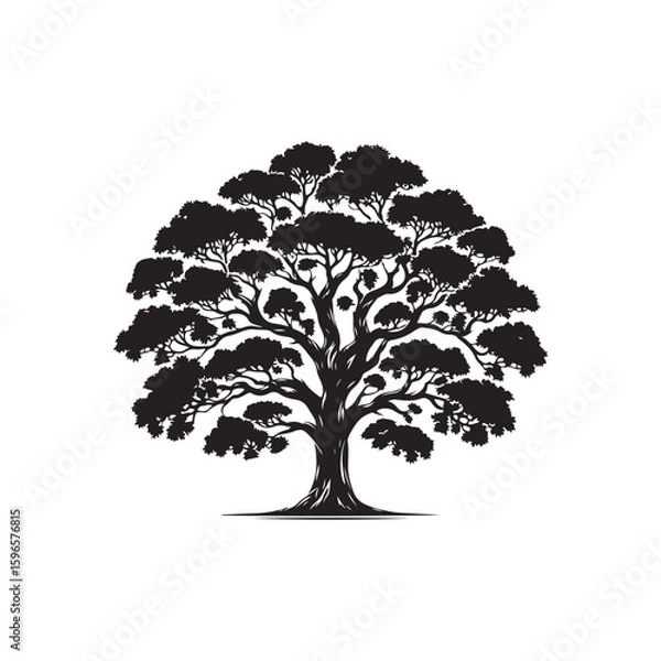 Fototapeta Teak tree Vector (2).eps