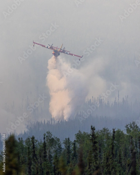 Obraz Airplane dropping water on wildfire.