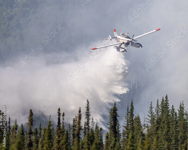 Obraz Fire Boss dropping water on wildfire.