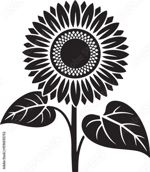 Fototapeta Monochromatic sunflower vector graphic icon. A bold, isolated illustration showing a single blooming plant with detailed petals and leaves for nature or botanical design themes.