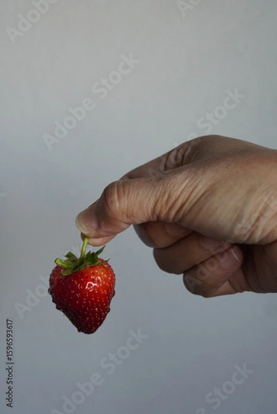 Fototapeta Holding fresh green stem of a red single strawberry, There are water droplets on the strawberries, white wall cement background, fruit, fresh, health, copy space