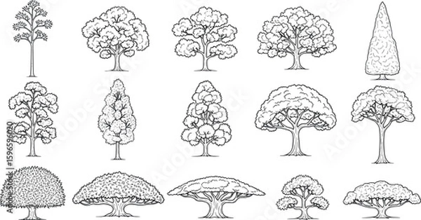 Fototapeta Minimal style cad tree line, Side view, set of graphics trees elements outline symbol for architecture and landscape design drawing.