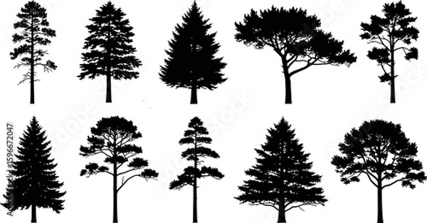 Fototapeta Tree silhouettes, Side view black, set of graphics trees elements outline symbol for architecture and landscape design drawing