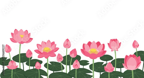 Fototapeta set of white roses watercolor illustration. hand drawn, isolated white background, flower clipart