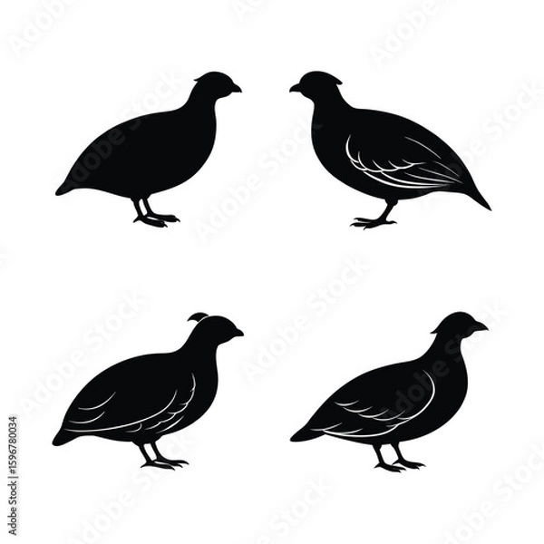 Obraz Partridge Silhouette Vector Set – Black Partridge Bird Icons Isolated on White Background