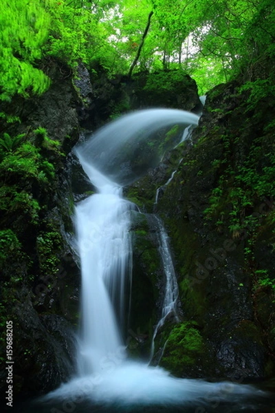 Fototapeta 夏の七折の滝