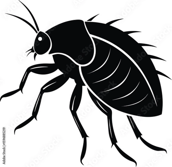 Fototapeta Side View Black Silhouette Of A Flea Sitting On White