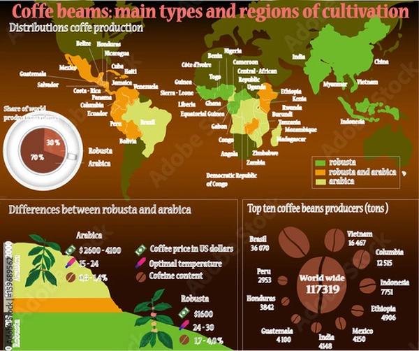 Fototapeta Coffee info graphicon dark background. Coffee beans: Main types and region of cultivation. Perfect detailed coffee info graphic elements with sample data made in vector.