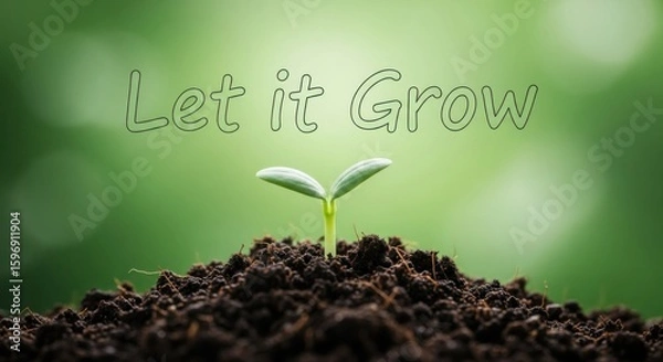 Obraz Single green sprout emerging from dark soil with text Let it Grow seedling growth