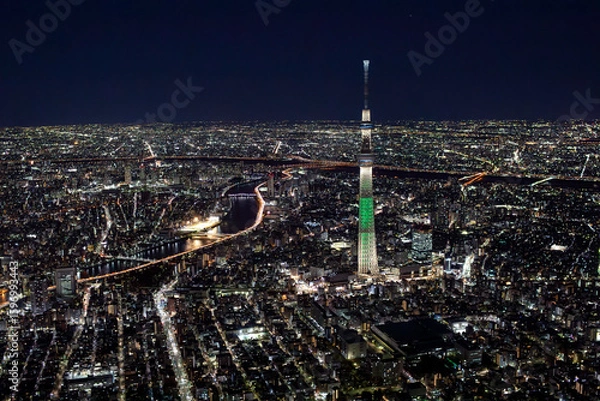 Fototapeta スカイツリーと隅田川・夜景・Aerial view