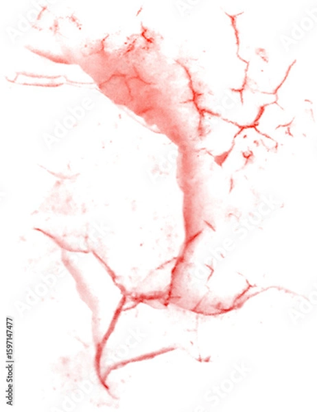 Fototapeta Abstract textured background with vibrant paint splashes and natural leaf shadow overlay effects