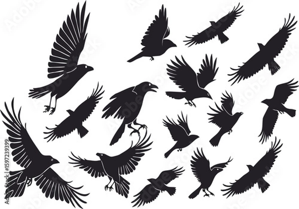 Fototapeta Collection of stylized black silhouettes of crows and ravens in various dynamic flying and perching poses against a clean white backdrop, evoking a sense of nature and freedom