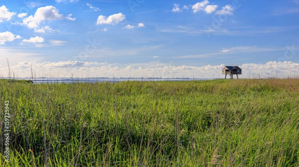 Obraz Wattenmeer am Dollard
