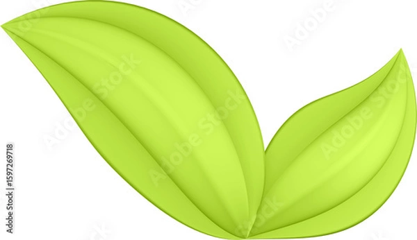Fototapeta 3d render of green plant leaves close up with details on a transparent isolated background