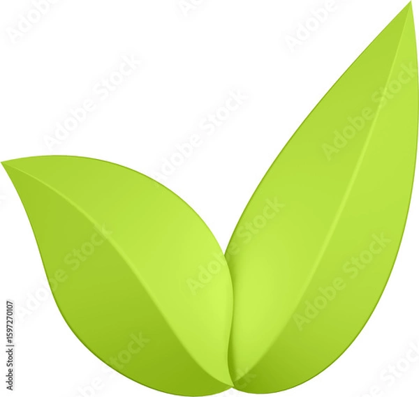 Fototapeta 3d render of green plant leaves close up with details on a transparent isolated background