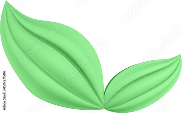 Fototapeta 3d render of green plant leaves close up with details on a transparent isolated background
