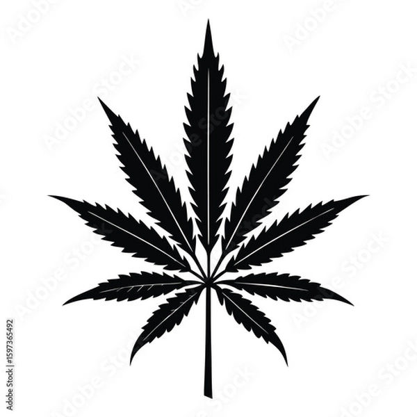 Fototapeta Tropical Canna Leaf Silhouette Illustration  Editable Vector Design for Botanical, Floral, and Greenery Projects