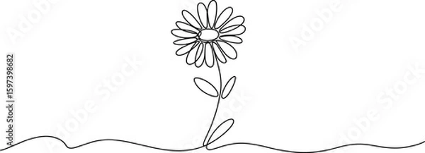 Obraz Single line drawing of a daisy flower and grass on white background