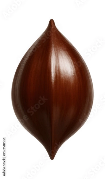 Obraz Beech nut with triangular, glossy brown shell with pointed end
