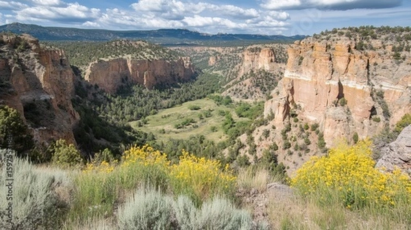 Fototapeta Canyon vista with wildflowers