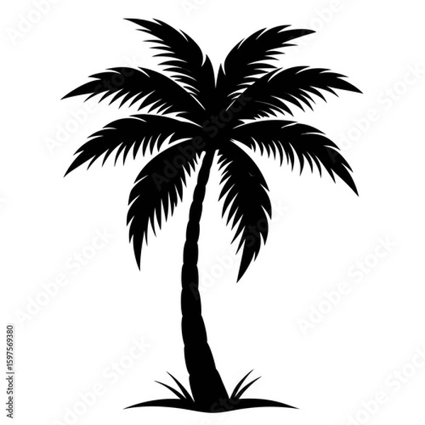 Fototapeta Minimal Palm Tree Black Vector 