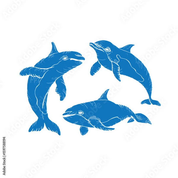 Obraz Vector hand drawn illustration of dolphins blue filling without stroke. Sketch detailed engraving style