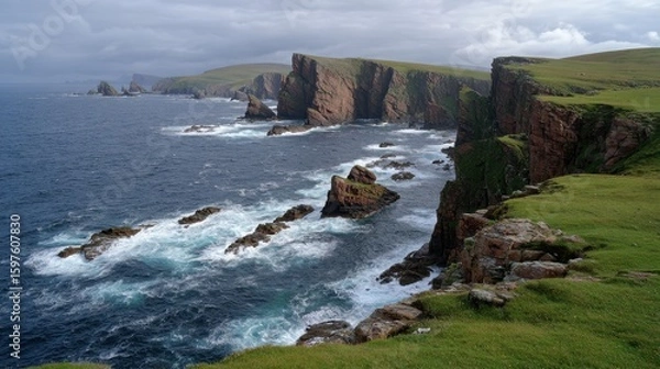 Fototapeta Shetland Islands: British Cliff Coastline with High Grass on Scottish Coast