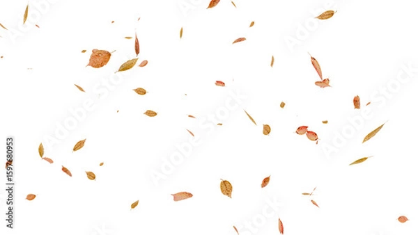 Fototapeta 舞い落ちる落ち葉：背景透過