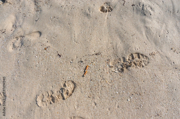 Fototapeta Dirty beach, pollution on the beach due to cigarettes.