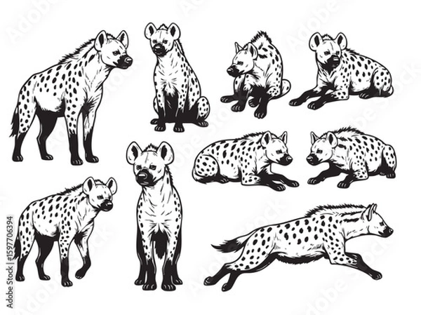 Fototapeta Vector illustrations of spotted hyenas in various poses, ideal for African wildlife and predatory themes.