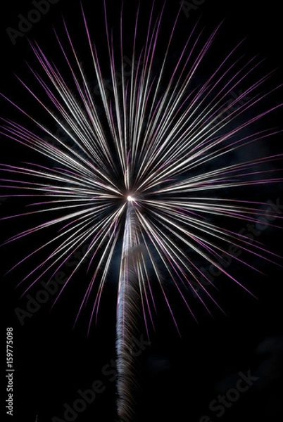Obraz Fireworks light up the sky with dazzling display