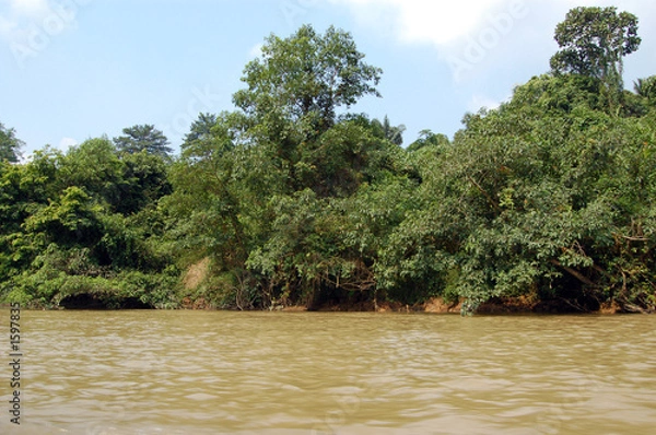 Obraz taman negara - river view