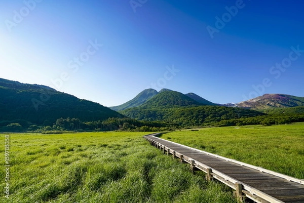 Obraz たで原湿原