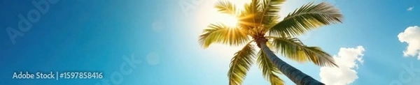 Fototapeta Looking up at a palm tree against a sunny sky, daytime, banner